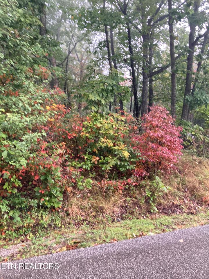 Property Photo:  127 Brokenwood Lane  TN 38558 