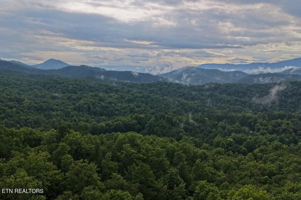 Property Photo:  Lot 41 Shady Oaks Way  TN 37876 