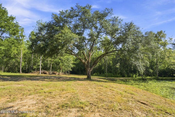 Property Photo: 132 Cody Goldman Road MS 39452