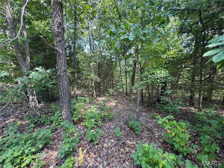 Property Photo:  0 Rue Marne  MO 63628 