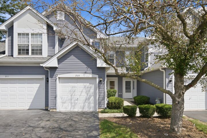 Property Photo: 209 Oxford Court IL 60543