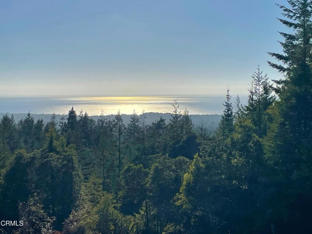 Property Photo: 28200 Simpson Lane CA 95437