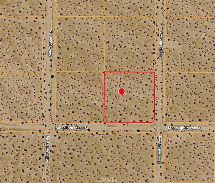 Property Photo: 54 Fascination Avenue CA 92252