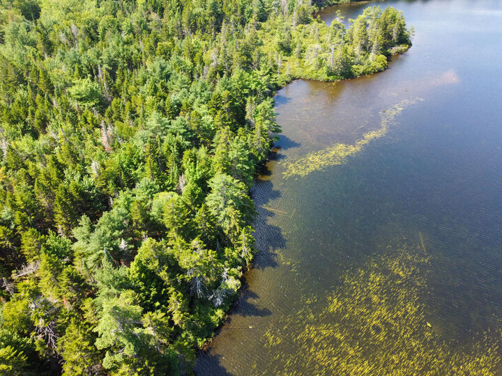 Property Photo:  Lot 6 Goulding Lake Road  ME 04671 