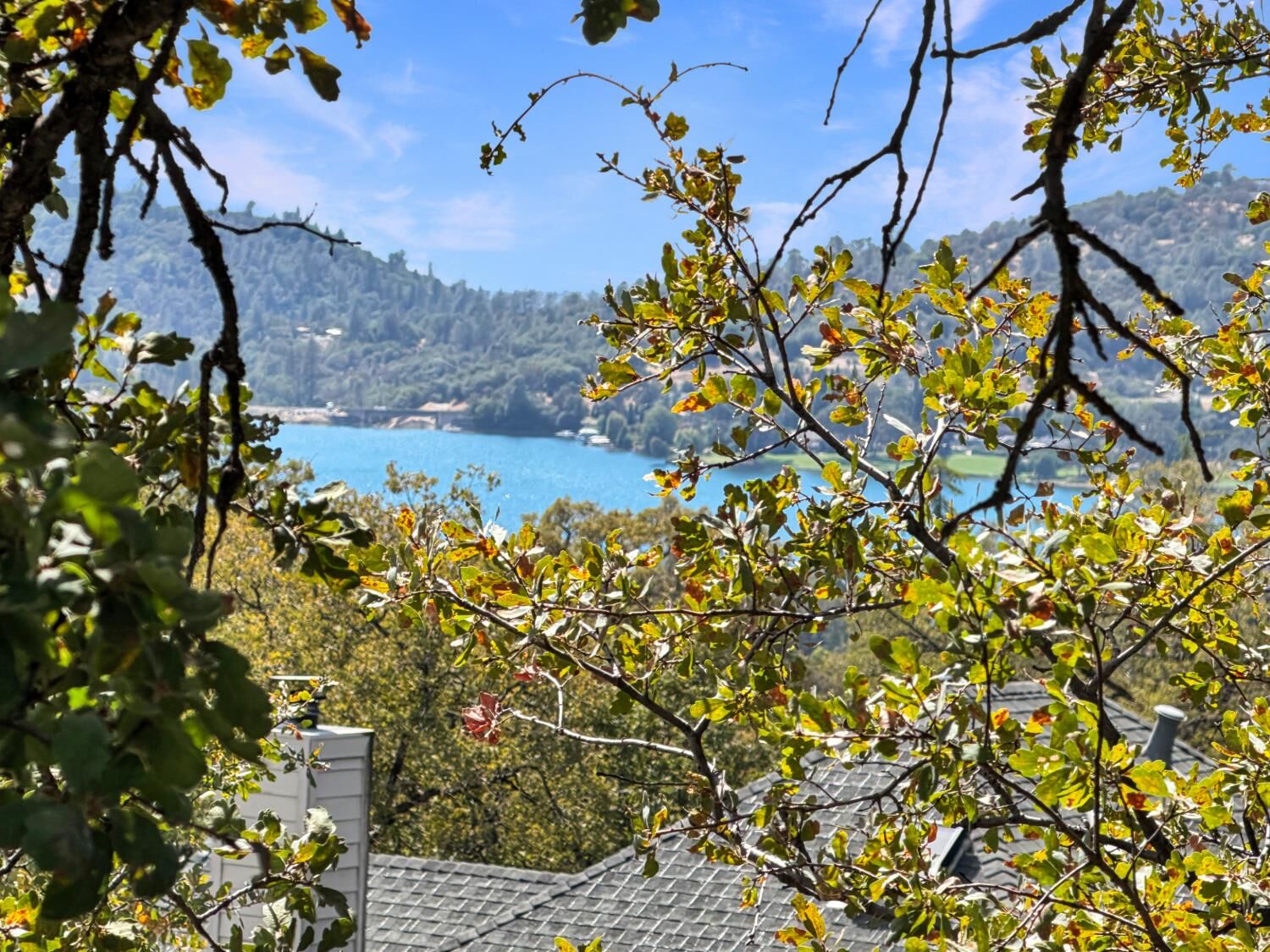 Property Photo:  17572 Long Branch Court  CA 95946 
