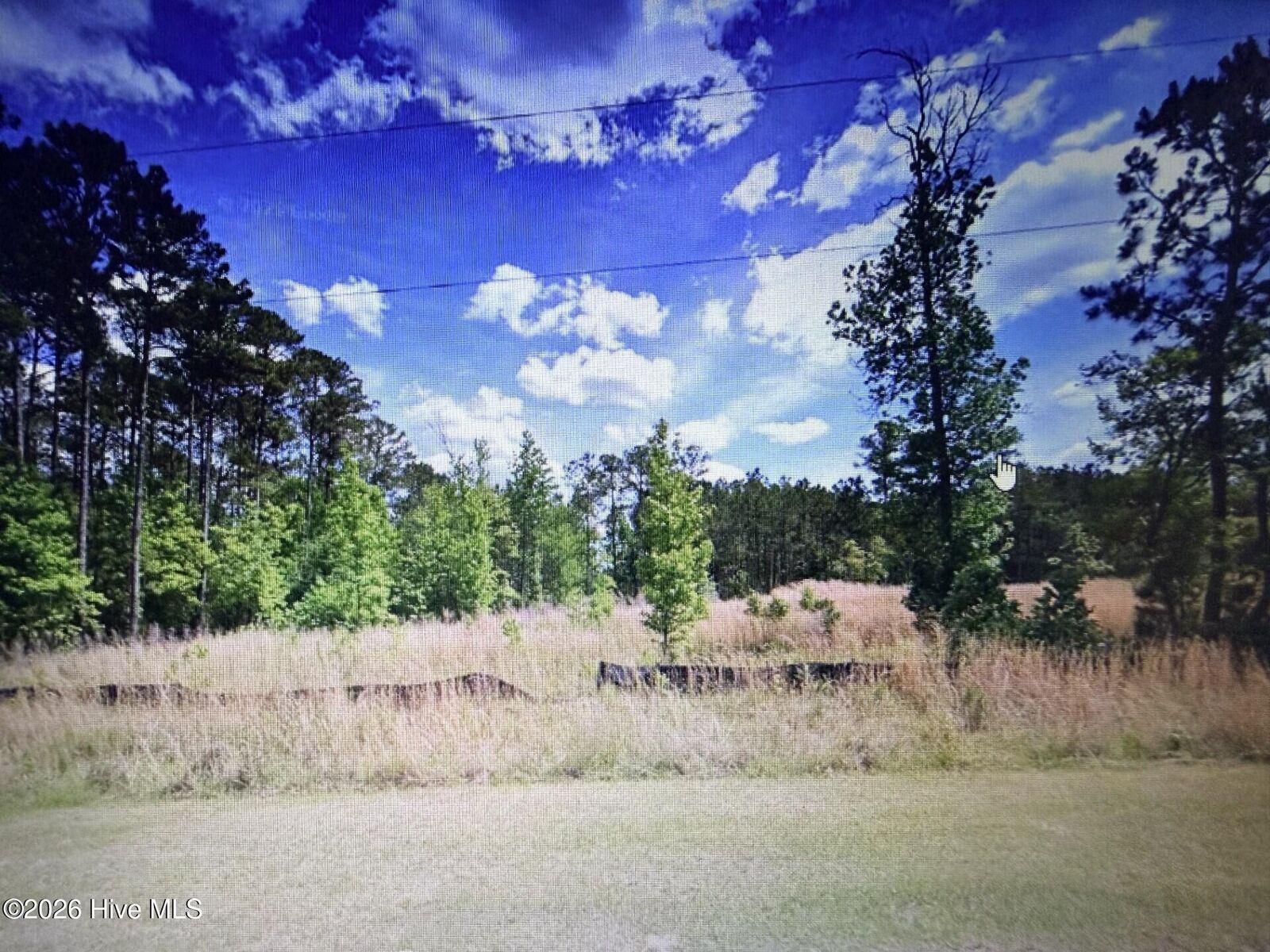 Property Photo: 1019 Eagles Nest Trail GA 30668