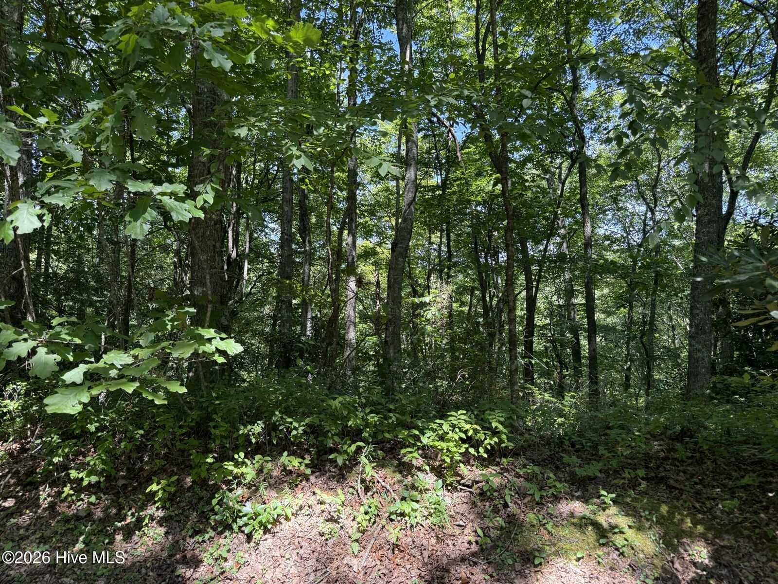 Property Photo: Lot 3 Amber Lane NC 28781