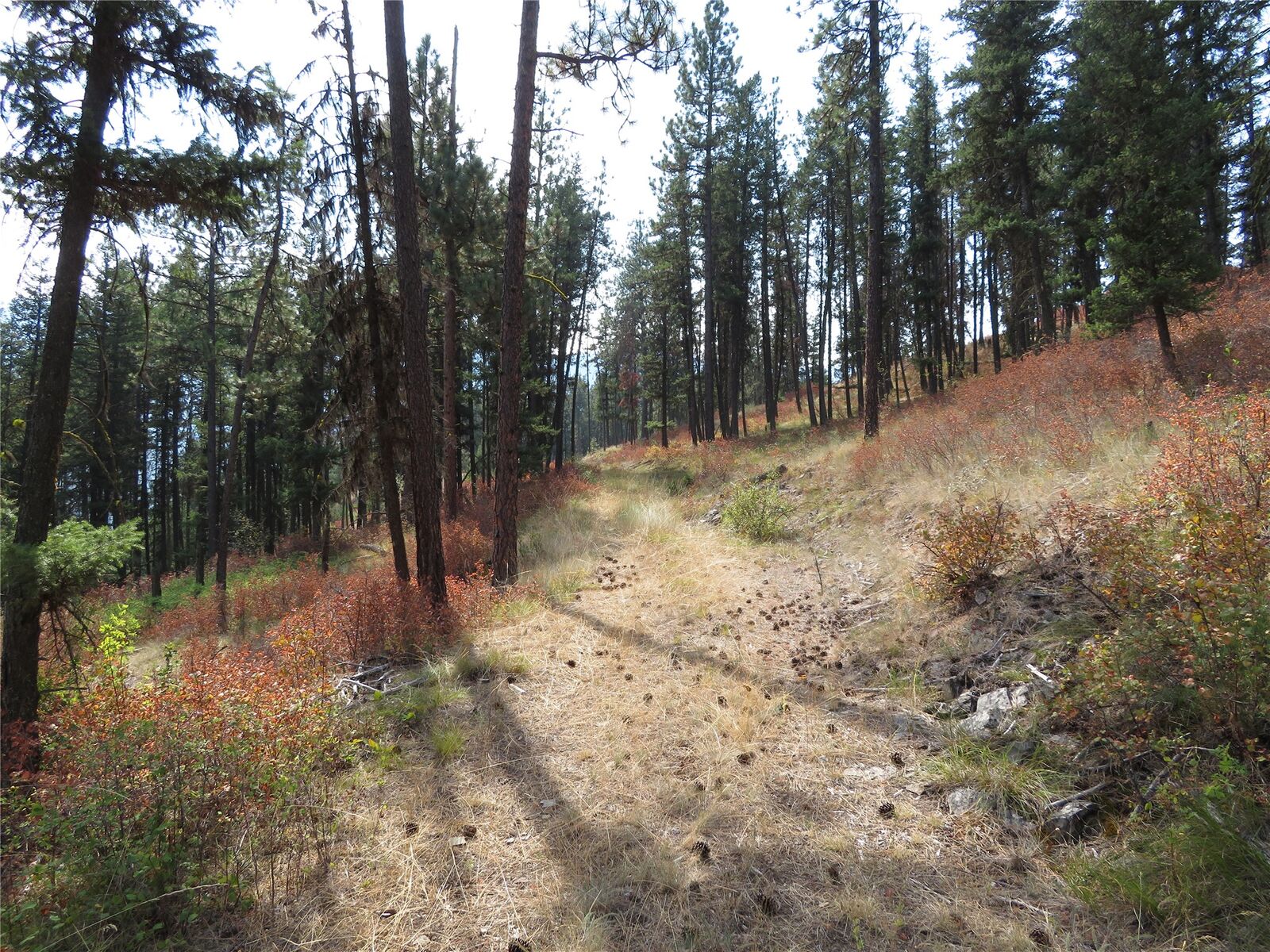 Property Photo:  Nhn Rosco Road  MT 59820 