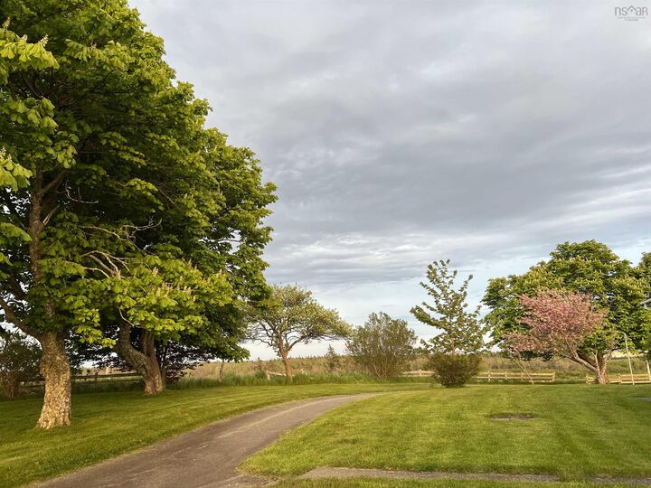 Property Photo: 355 Pleasant Street NS B5A 2K9
