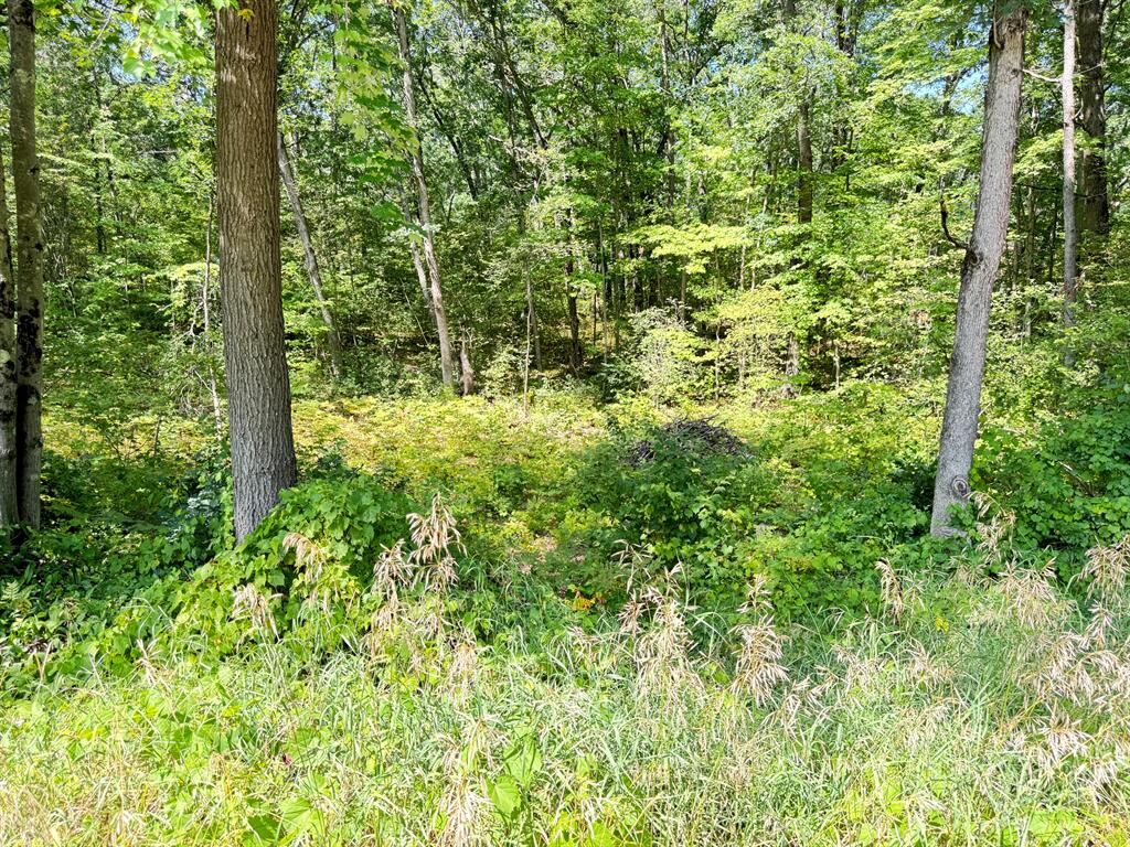 Property Photo: 8835 N Bingham Avenue MI 49309