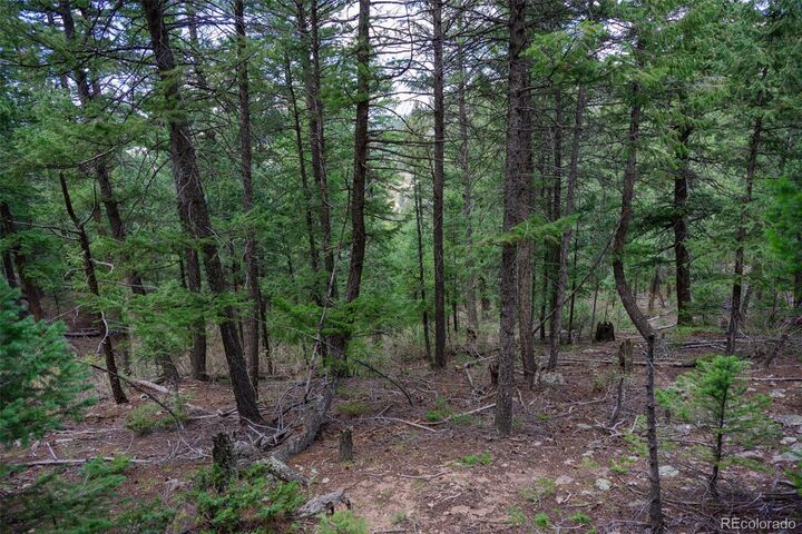 Property Photo:  Fern Gulch Lot 14 Road  CO 80439 