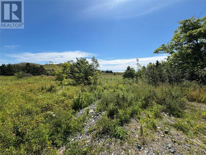 Property Photo:  5 Flights Road  NL A0A 1L0 