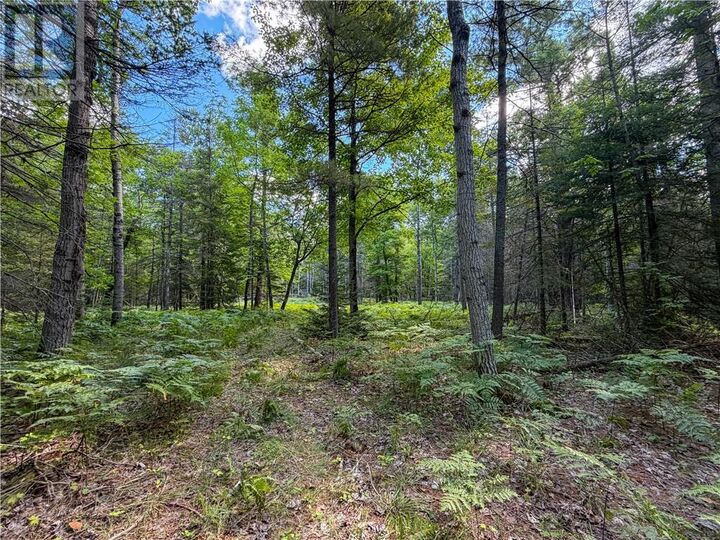 Property Photo:  N/A McArthur Trail  ON P0P 1H0 
