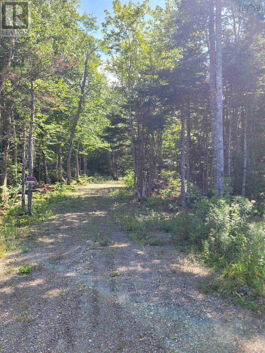 Property Photo:  No # Morrison Road  NS B1M 1B7 