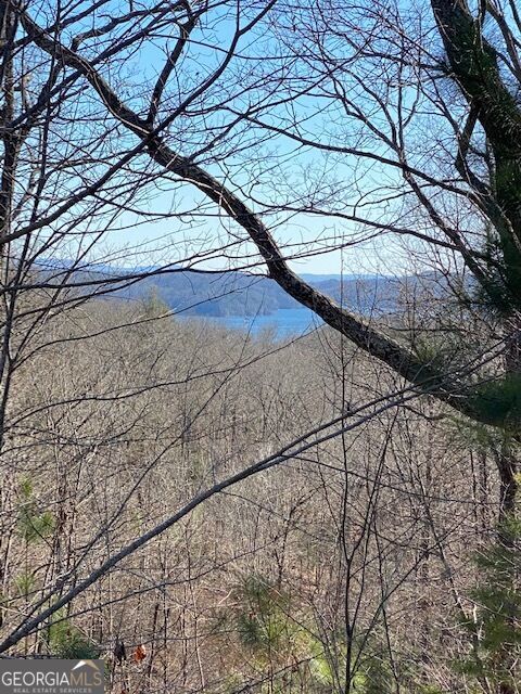 Property Photo:  439 Buck Creek Road  GA 30540 