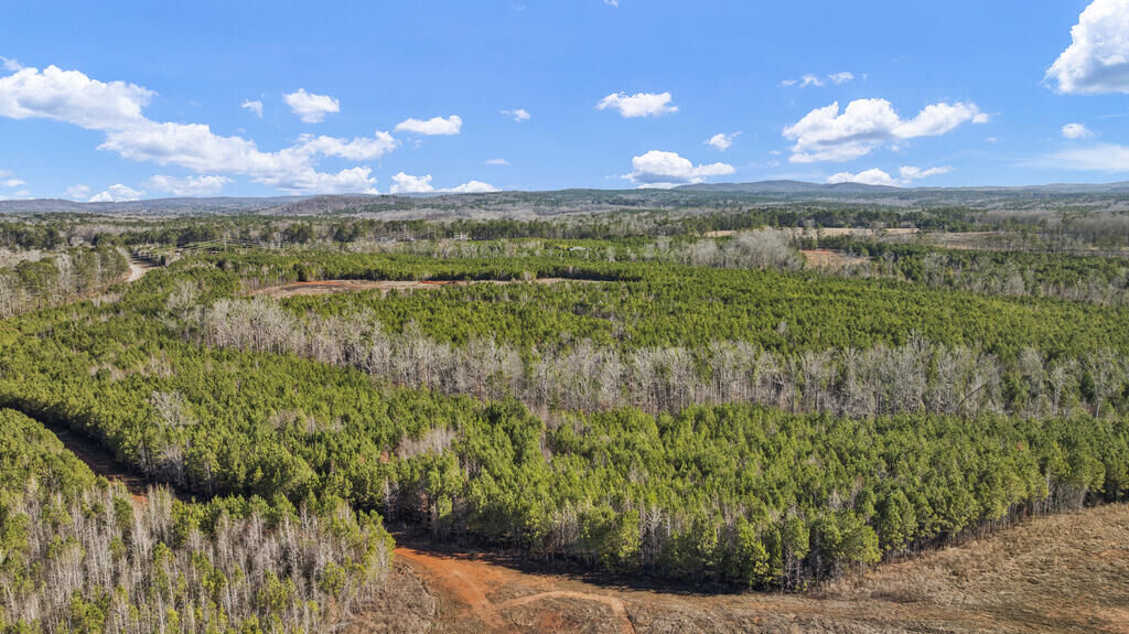 Property Photo:  Parcel C3-200 Highway 0027  GA 31811 