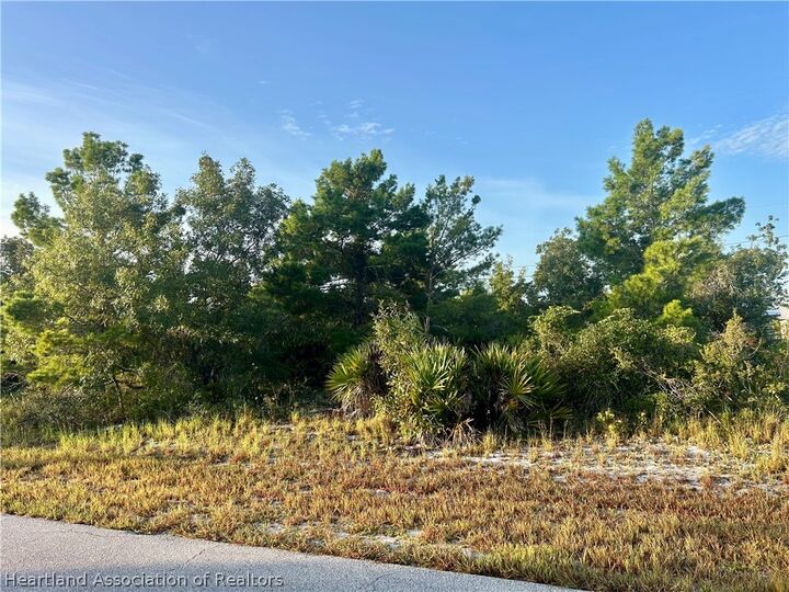 Property Photo: 124 Loquat Road NW FL 33852