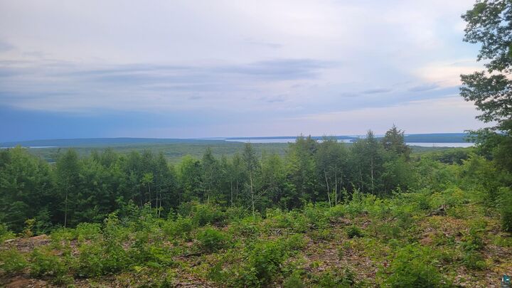 Property Photo:  8855X Turner Rd  WI 54814 