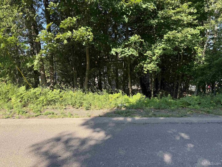 Property Photo: 308 Sibley Street MI 49931