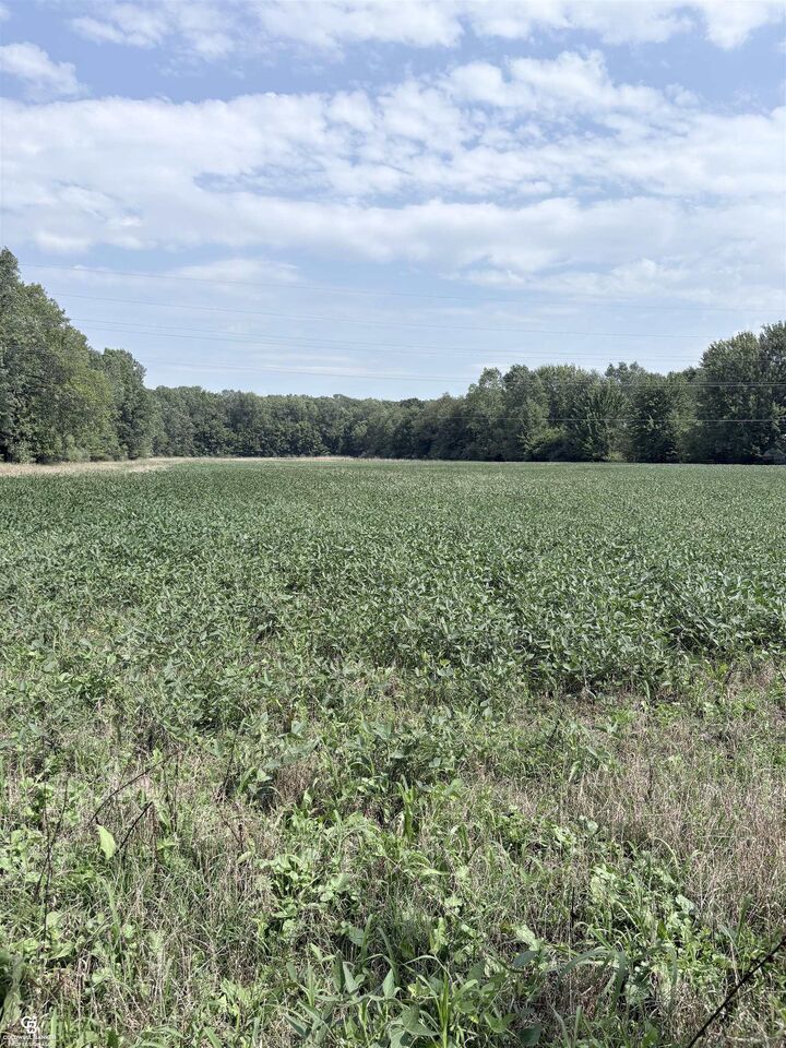 Property Photo: 000 Palms Road MI 48063