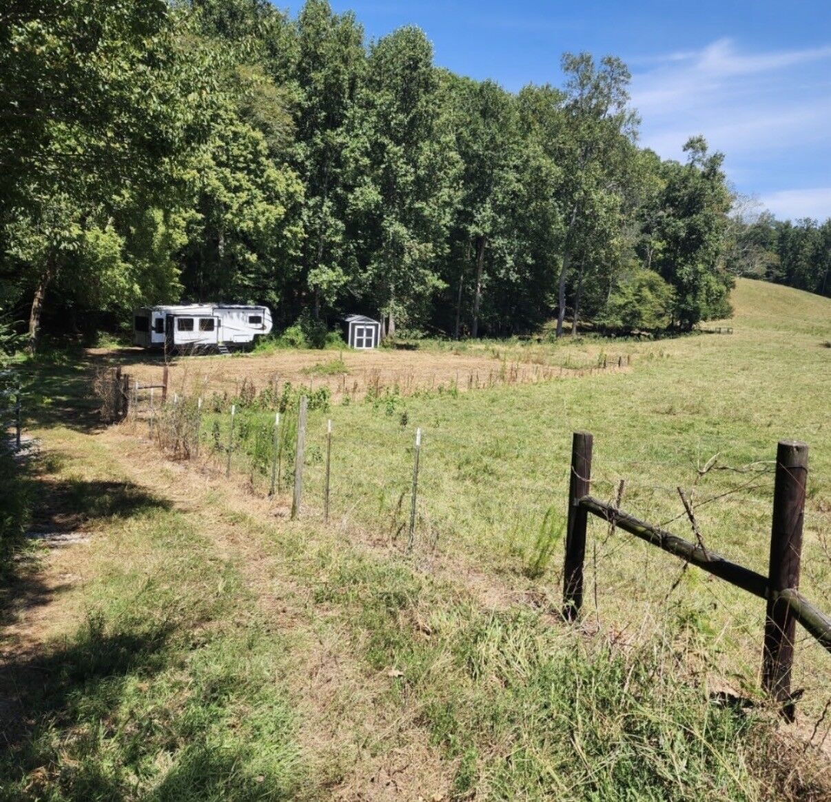 Property Photo:  266 Shoally  Branch  TN 38468 