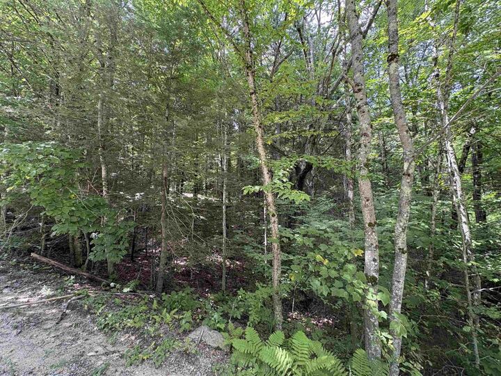 Property Photo: Craig Road NH 03440