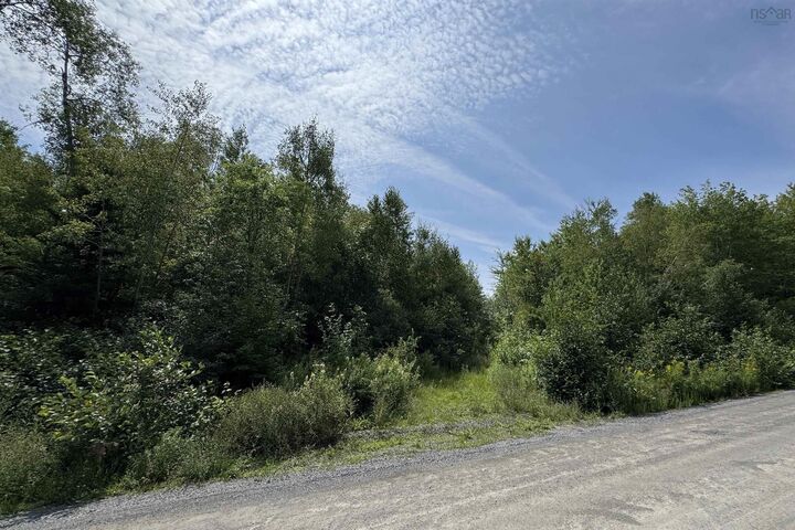 Property Photo:  Lot Black River Road  NS B4P 2R1 