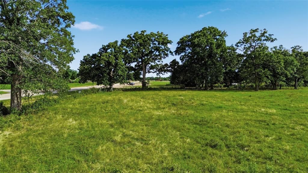 Property Photo: Tbd Fm 1531 TX 75448
