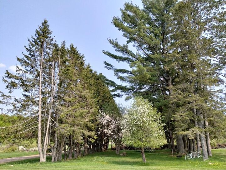 Property Photo:  12279 Stangle Road  WI 54514 