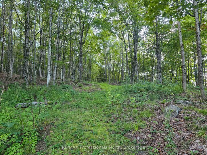 1026 Puffer Road — photo 1
