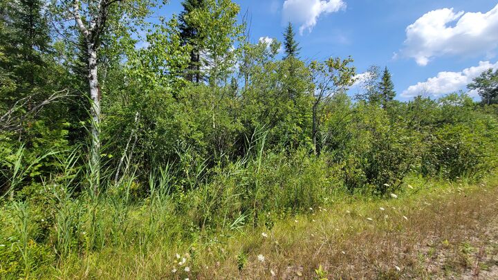 Property Photo: 15225 Lakeview Drive MI 49799