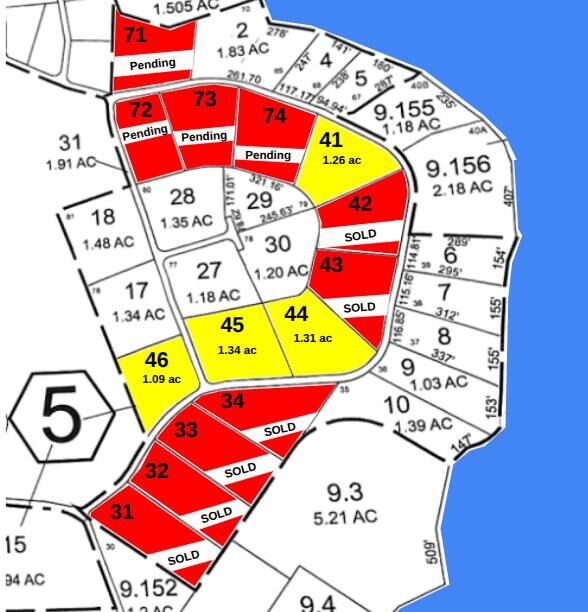 Property Photo:  0 Bluff Point Dr Lot 44  NY 12901 
