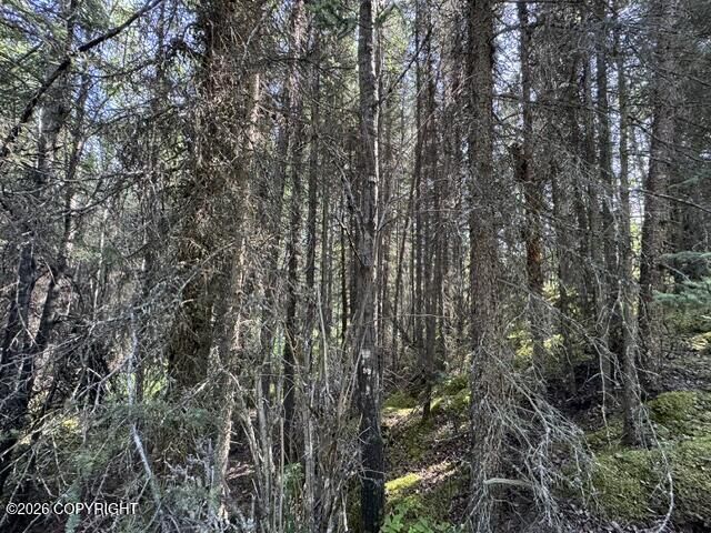 Property Photo:  L3 B1 Funny River Road  AK 99669 