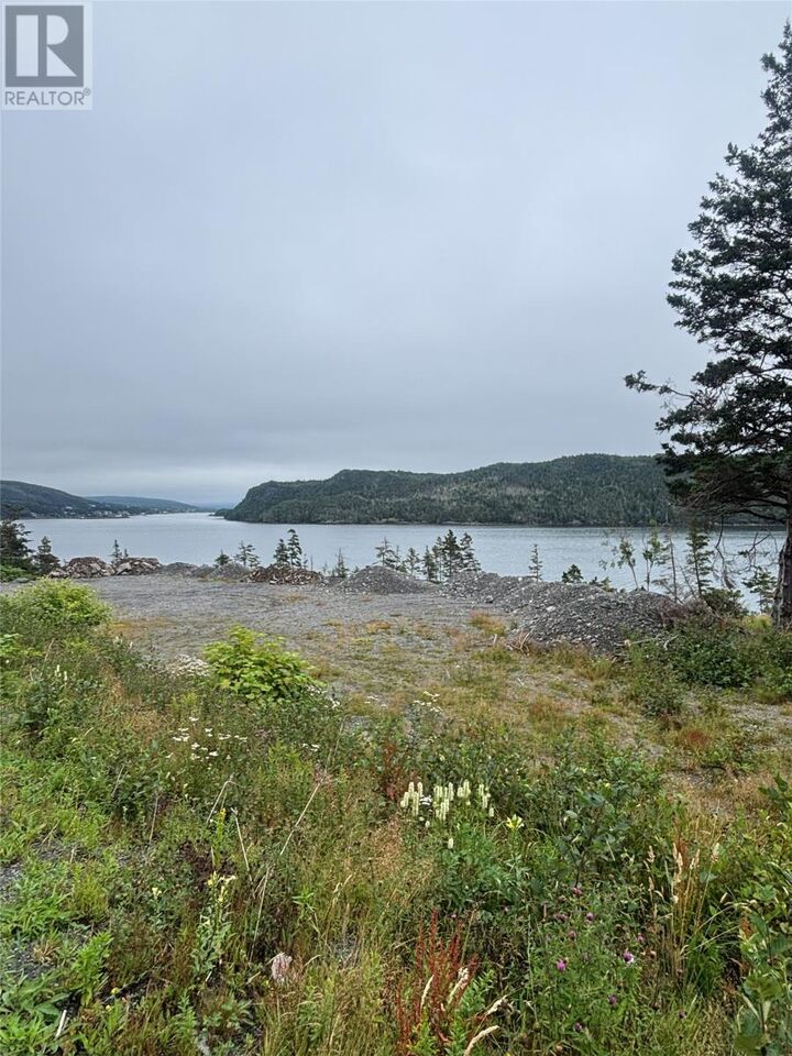 Property Photo:  123-139 Ferndale Road  NL A0B 2G0 