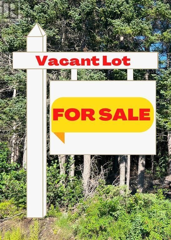 Property Photo:  0 Ralph's Road  NL A0G 2L0 