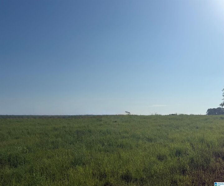 Property Photo: Lot 32 County Road 1464 32 AL 35058