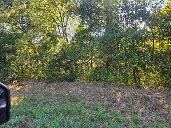 Property Photo:  Tbd N Fm 49  TX 75644 