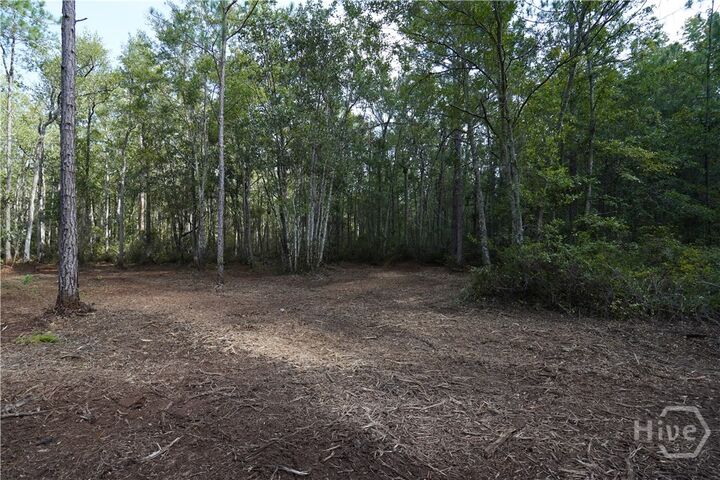 Property Photo:  1 Williams Road  GA 31312 