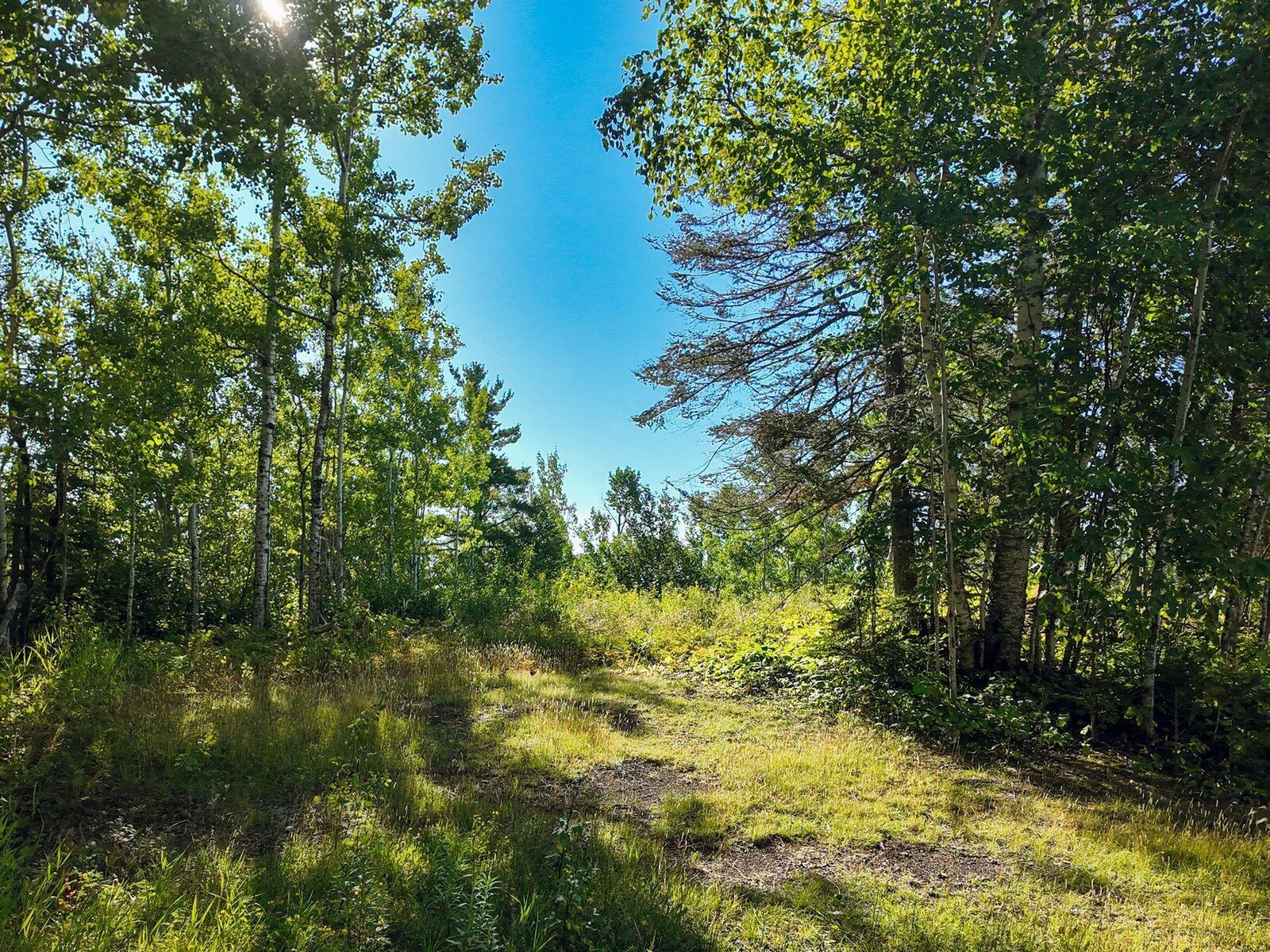 Property Photo: Xxx Casper's Hill Road MN 55604