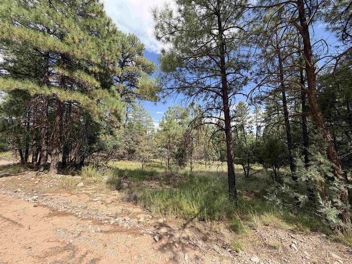Property Photo:  57 Dixwood Dr  NM 88350 