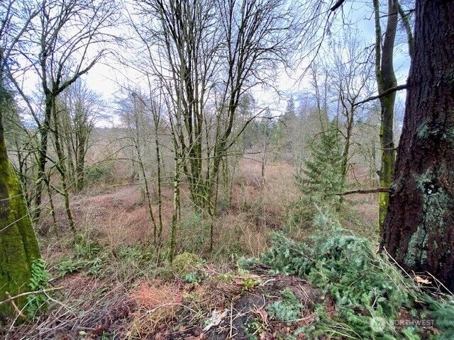 Property Photo:  132 &129  Linda Street SE  WA 98501 