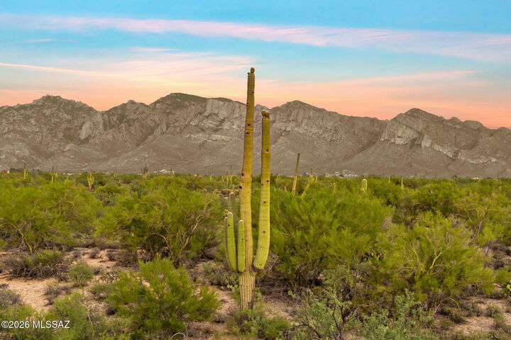 Property Photo: 12488 N Paseo Penuela AZ 85658