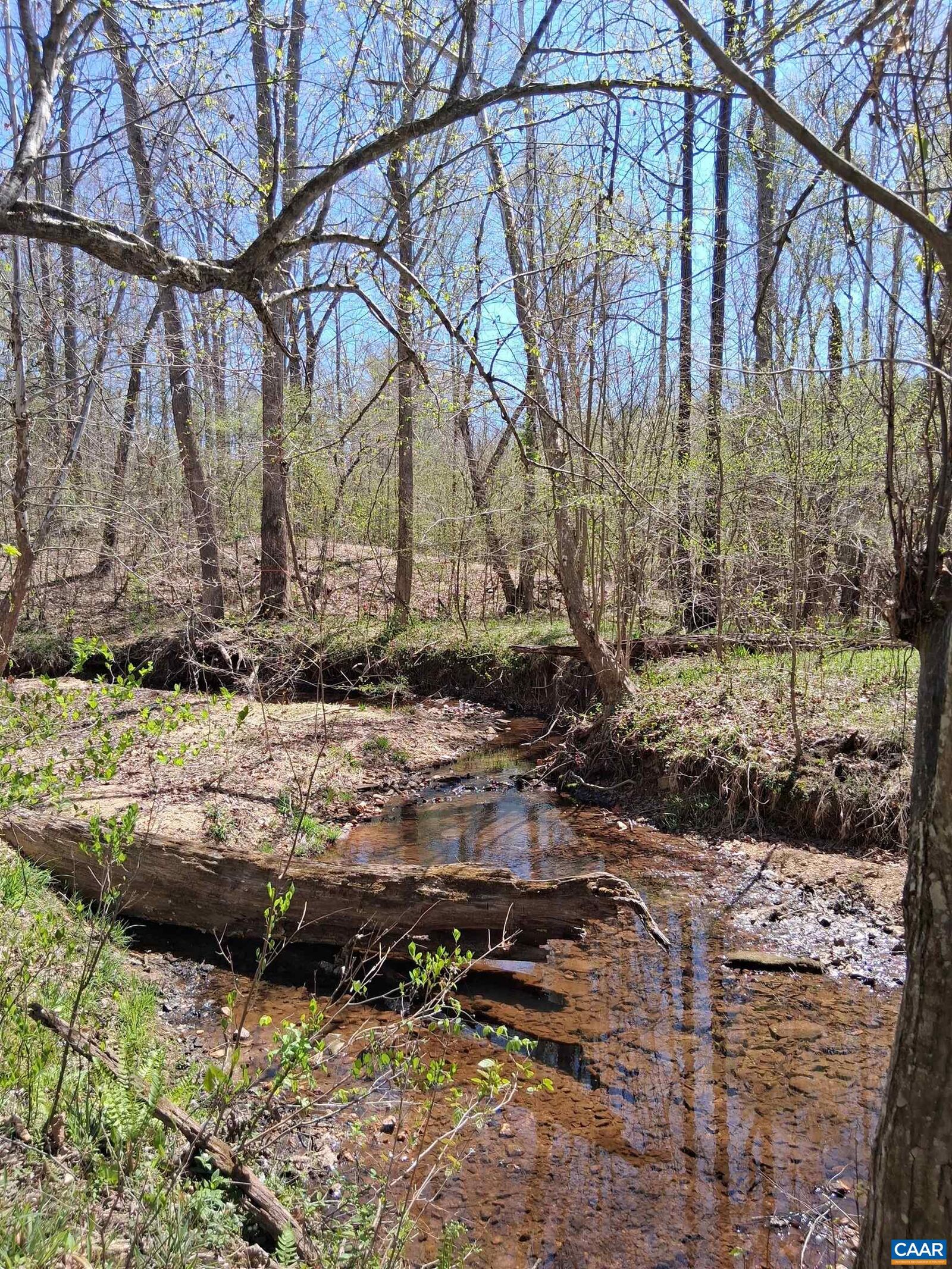 Property Photo: Lot 3 Ridge Rd VA 22963