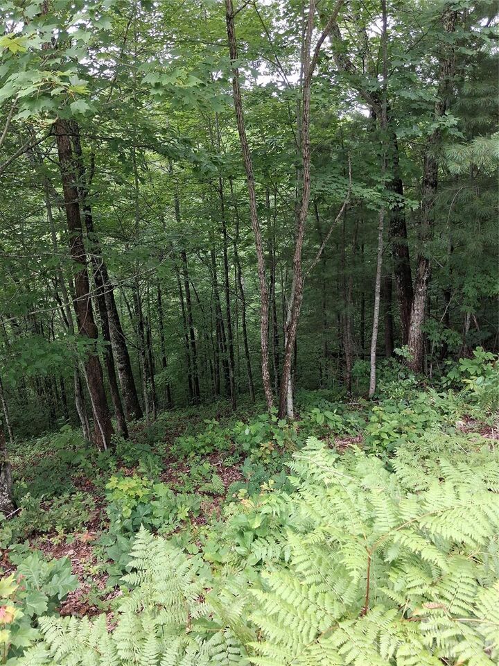 Property Photo: Tbd Preservation Trail 47 NC 28779