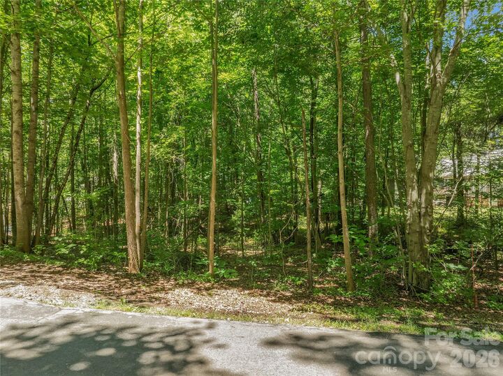 Property Photo: 0 Nablus Drive 5 NC 28173