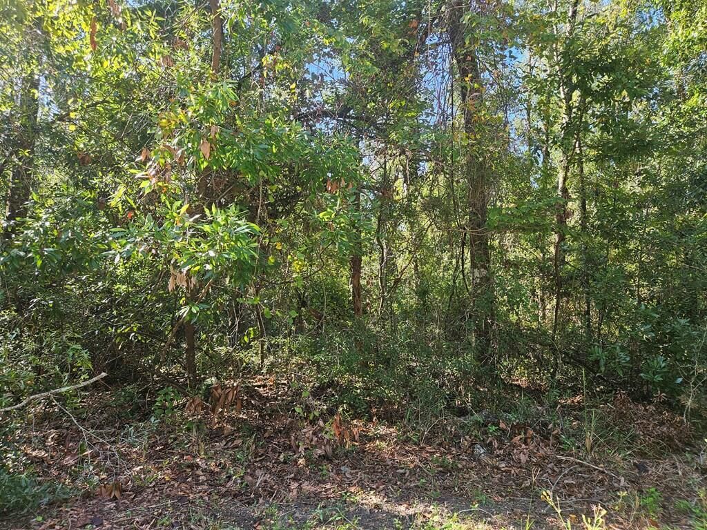 Property Photo:  Spruce Street  FL 32038 