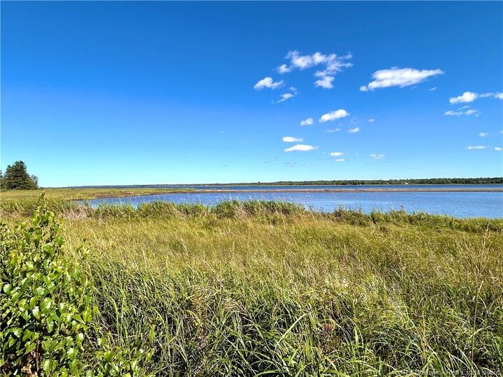 Property Photo:  8.25 Acres Pointe Au Sable Road  NB E9A 1J7 
