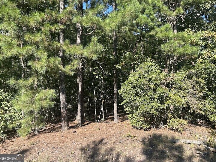 Property Photo: 0 Springer Road GA 30185
