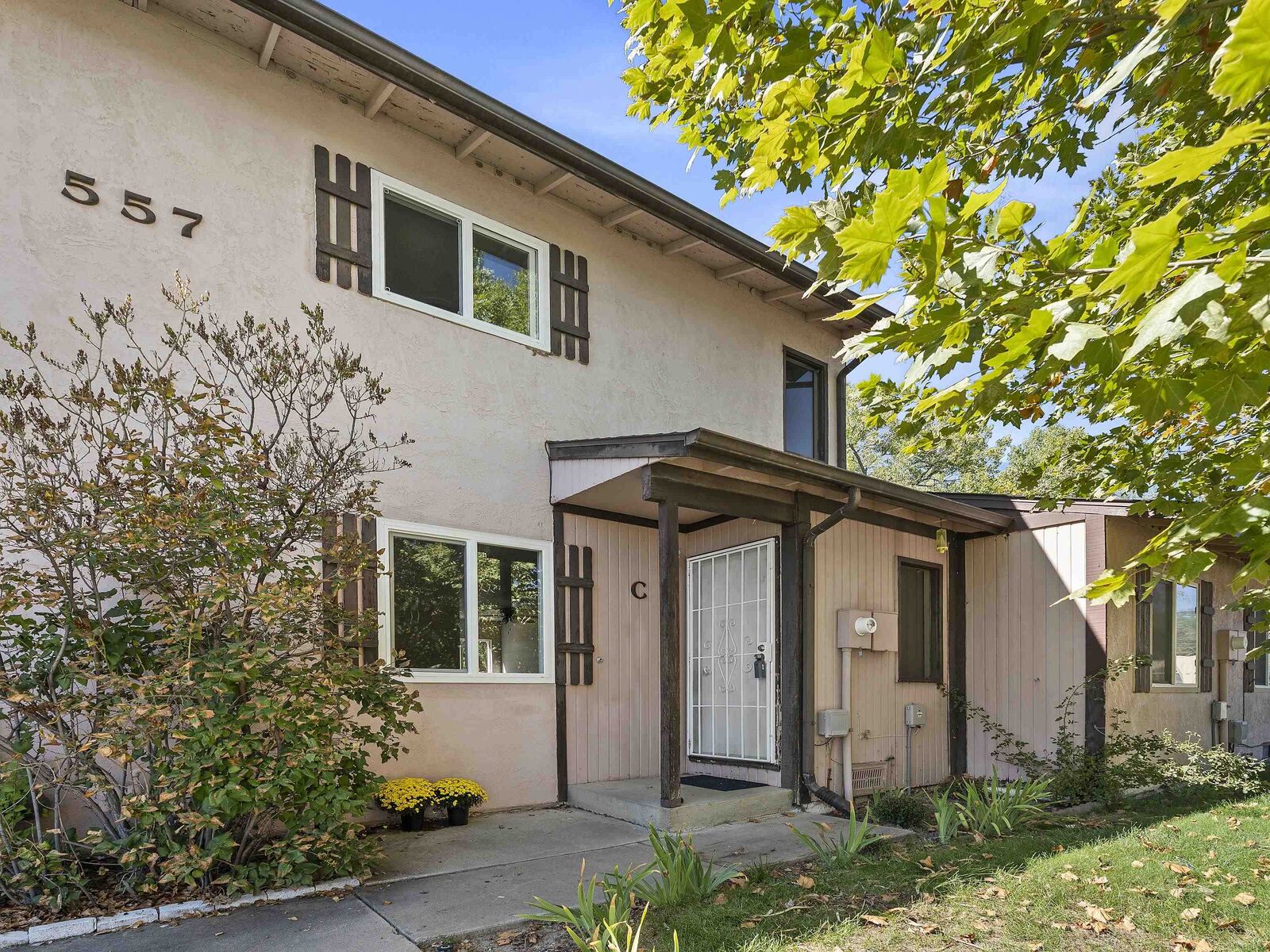 Property Photo:  557 W Good Hope Circle C  CO 81520 