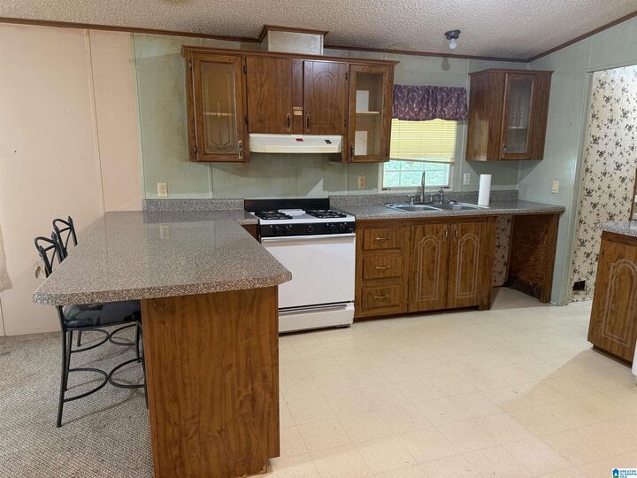 Property Photo:  647 Dearmanville Drive  AL 36207 